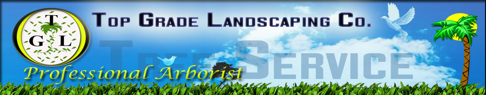 Sebastian Tree Service Home Page